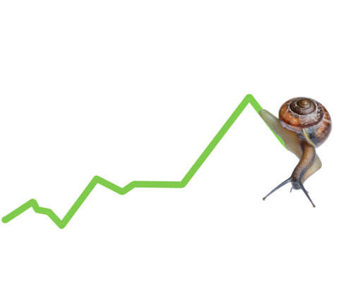 financial-slowdown-snail-2-IC System