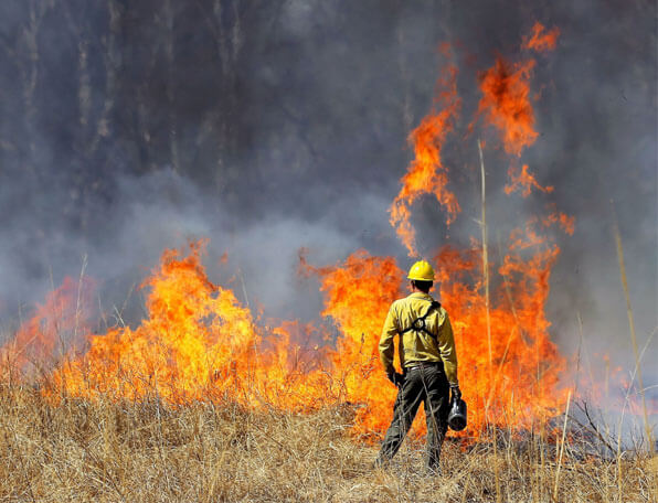 state-budget-wildfires-IC System