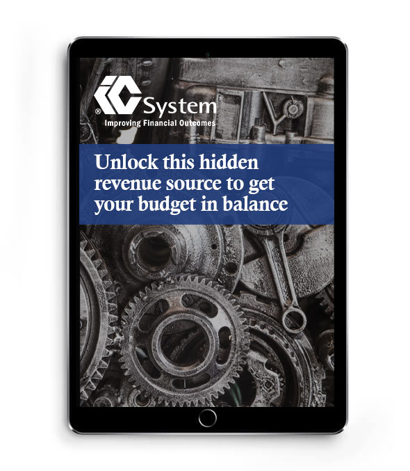 government-ebook-preview