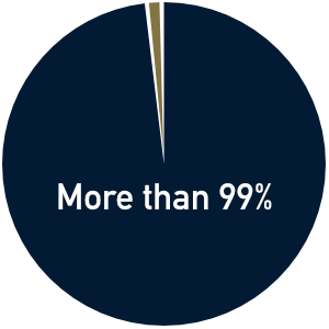 A pie chart showing more than 99% blue, indicating yes