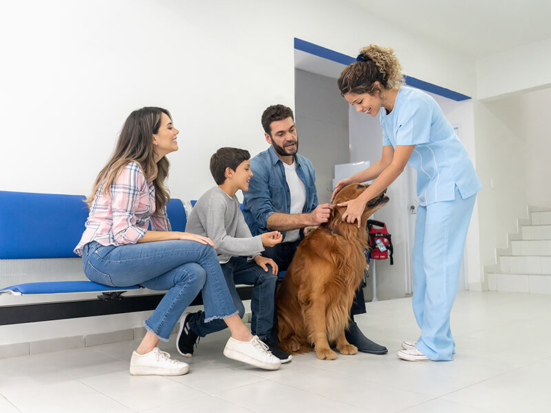 A vet interacts with a family and their dog